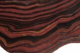 Free-Standing Polished Tiger Iron Stromatolite - Ga #234607-2